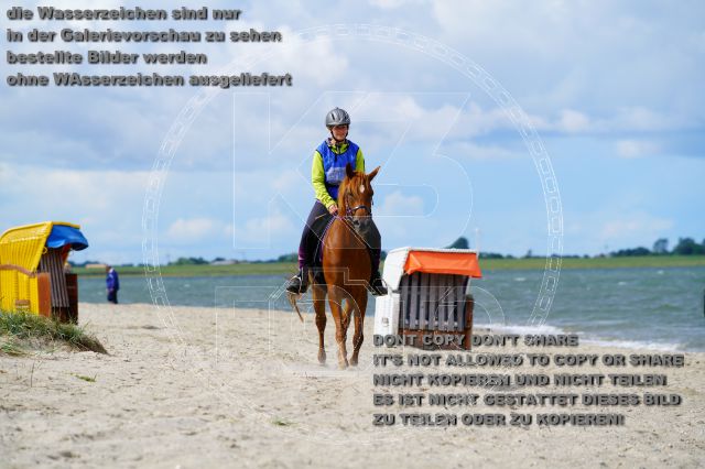 s_K3F05205.JPG